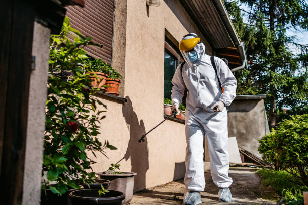 Bird Control in Jersey Village, TX