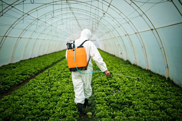 Best Best Pest Control Companies  in Jersey Village, TX