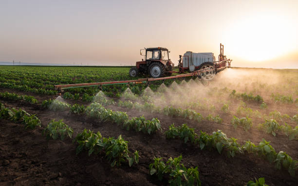 Best Pest Control Cost  in Jersey Village, TX