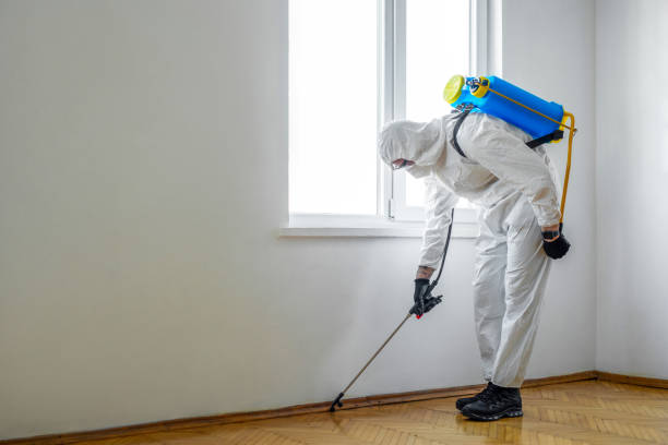 Best Best Pest Control Companies  in Jersey Village, TX