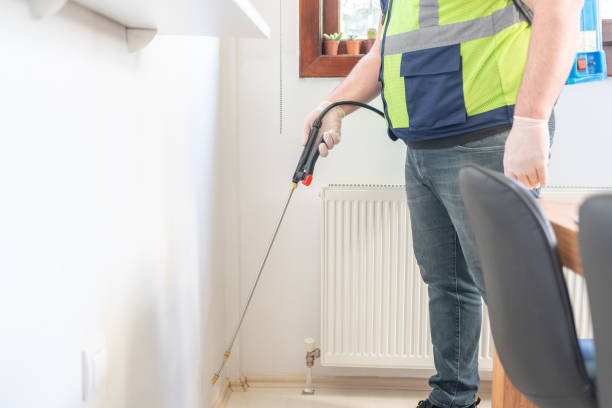 Best Affordable Pest Control Services  in Jersey Village, TX