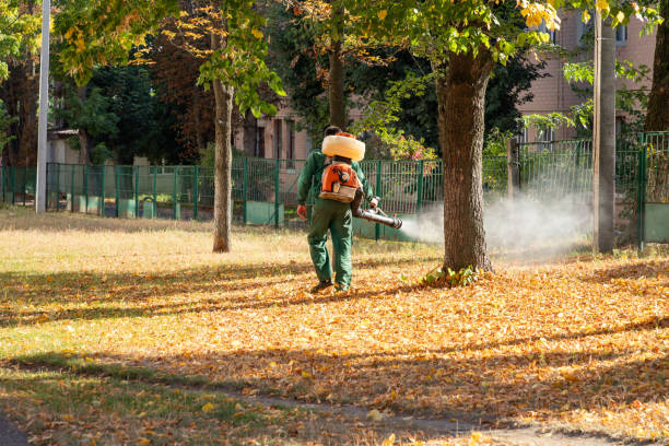 Best Rodent Control Near Me  in Jersey Village, TX