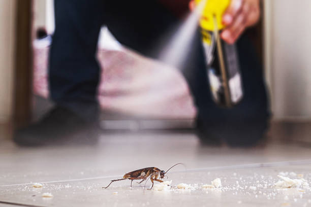 Jersey Village, TX Pest Control Company