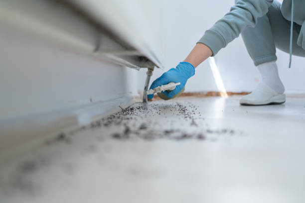  Jersey Village, TX Pest Control Pros