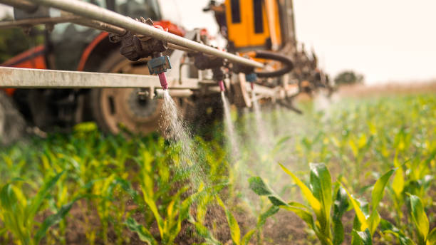 Best Ant Control Services  in Jersey Village, TX
