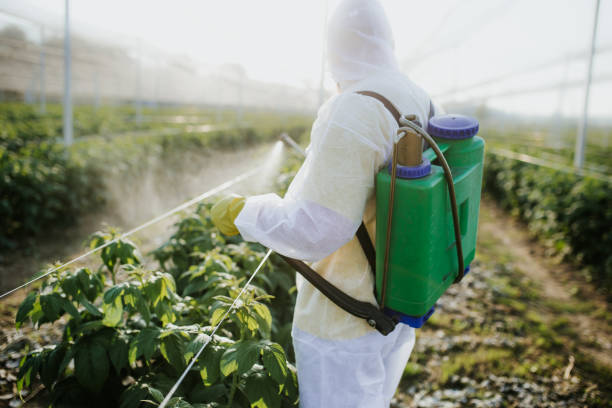 Best Pest Prevention Services  in Jersey Village, TX
